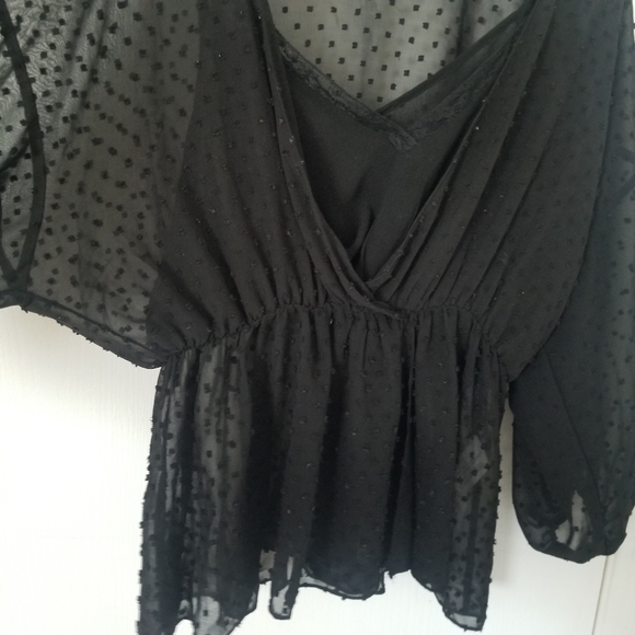 Zara Basics Sheer Dotted Blouse - Picture 2 of 3